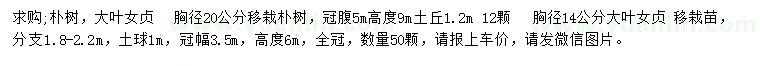 求购胸径20公分朴树、胸径14公分大叶女贞