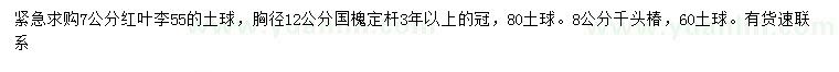 求购红叶李、国槐、千头椿