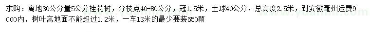 求购离地30公分量5公分桂花树