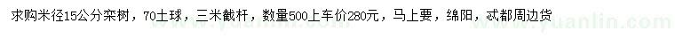 求购米径15公分栾树