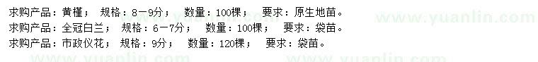 求购黄槿、白兰、仪花