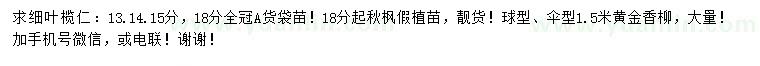 求购细叶榄仁、秋枫、黄金香柳