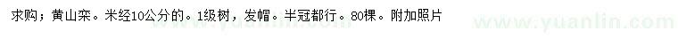 求购米径10公分黄山栾树