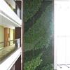 立体绿化、植物墙