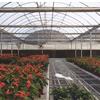中国花卉连栋温室造价，哪里有提供精良的花卉连栋温室