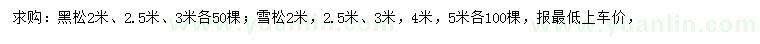 求购2、2.5、3米黑松、2、2.5、3、4、5米雪松