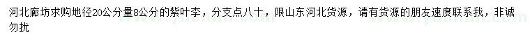 求购地径20量8公分紫叶李