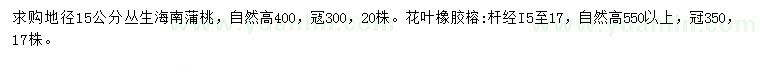 求购15公分海南蒲桃、15-17公分花叶橡胶榕