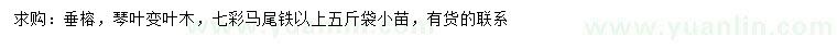 求购垂榕、琴叶变叶木、七彩马尾铁