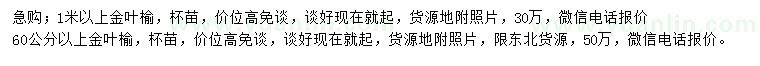 求购60公分以上金叶榆、1米以上金叶榆