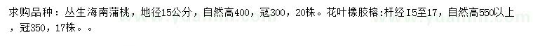 求购20公分丛生海南蒲桃、15-17公分花叶橡胶榕