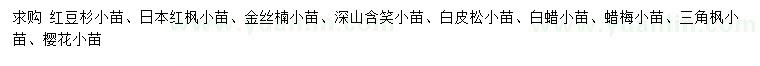求购红豆杉、日本红枫、金丝楠等