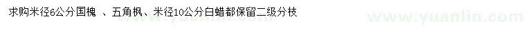 求购米径6公分国槐 、五角枫、米径10公分白蜡
