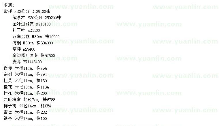 求购紫柳、熊掌木、金叶过路黄等
