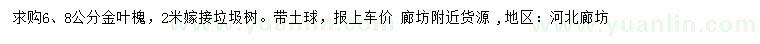 求购6、8公分金叶槐