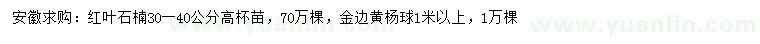 求购高30-40公分红叶石楠、1米以上金边黄杨球