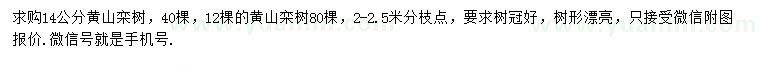 求购14公分黄山栾树