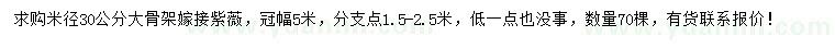 求购米径30公分紫薇