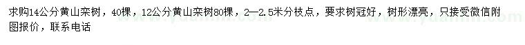 求购12、14公分黄山栾树