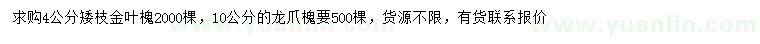 求购4公分矮枝金叶槐、10公分龙爪槐