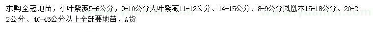 求购小叶紫薇、大叶紫薇、凤凰木