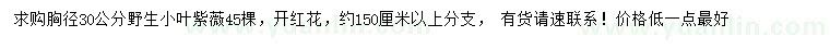 求购胸径30公分野生小叶紫薇