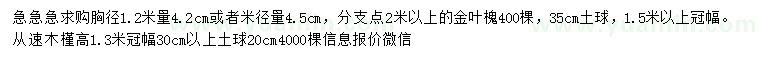 求购1.2米量4.2公分、米径4.5公分金叶槐、冠幅30公分丛生木槿