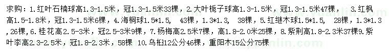 求购红叶石楠球、大叶栀子球、红枫等