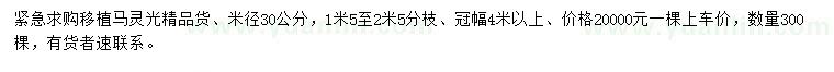 求购米径30公分移植马灵光