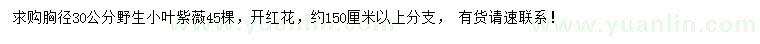 求购胸径30公分野生小叶紫薇