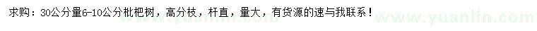 求购30公分量6-10公分枇杷树