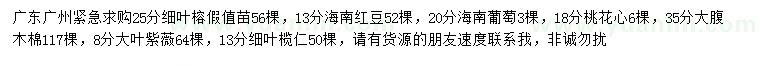 求购细叶榕、海南红豆杉、海南蒲桃等