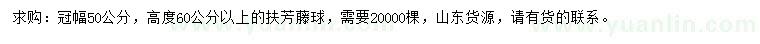 求购冠幅50公分扶芳藤球