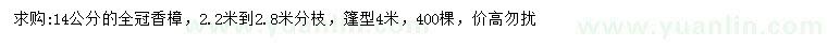 求购14公分全冠香樟