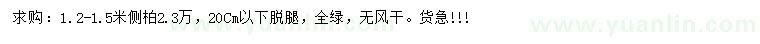 求购1.2-1.5米侧柏