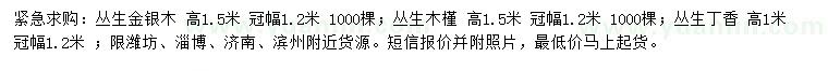 求购丛生金银木、丛生木槿、丛生丁香