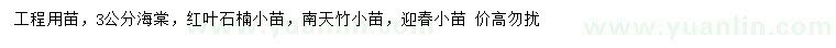 求购海棠、红叶石楠、南天竹等