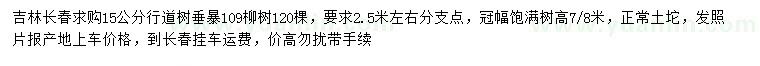 求购15公分垂暴109柳树