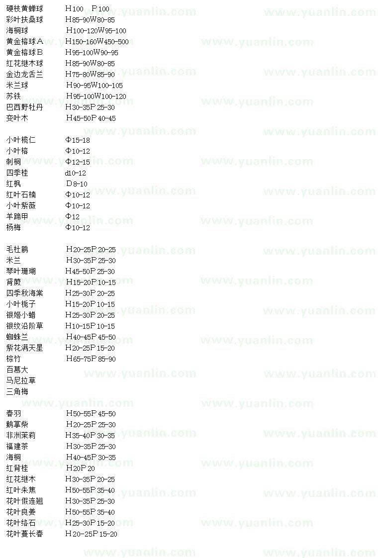 求购海桐球、四季桂、小叶栀子等