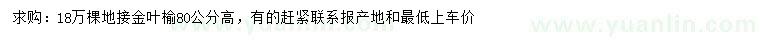 求购高80公分金叶榆