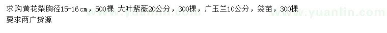 求购黄花梨、大叶紫薇、广玉兰