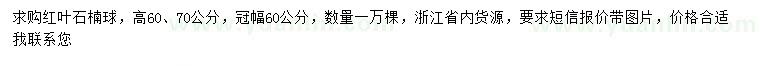 求购高60、70公分红叶石楠球