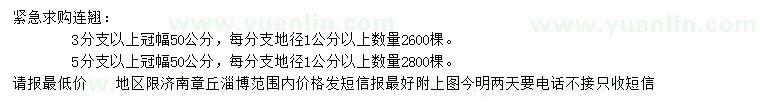 求购冠幅50公分连翘