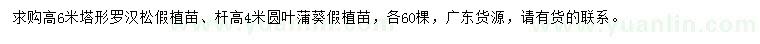 求购高6米塔形罗汉松、杆高4米圆叶蒲葵