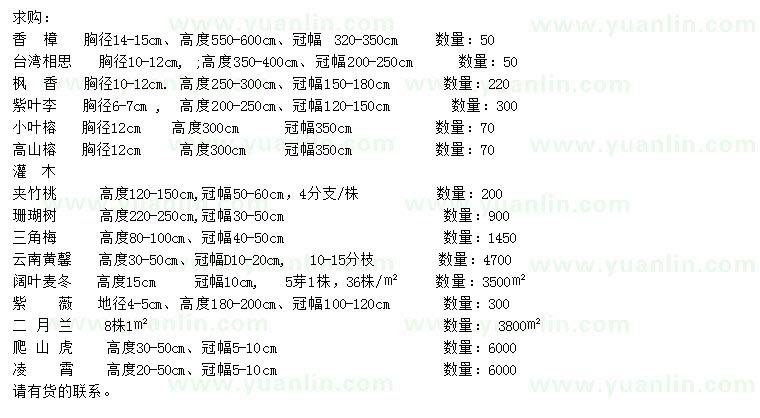 求购香樟、台湾相思、枫香等