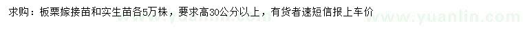 求购高30公分以上板栗嫁接苗、实生苗