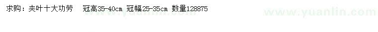 求购冠高35-40公分夹叶十大功劳