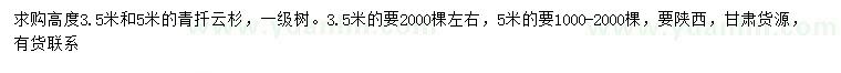 求购高3.5、5米青扦云杉
