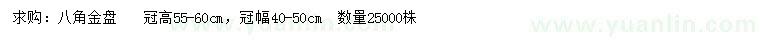 求购冠高55-60公分八角金盘