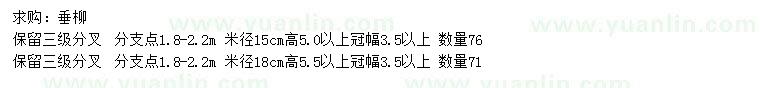 求购米径15、18公分垂柳